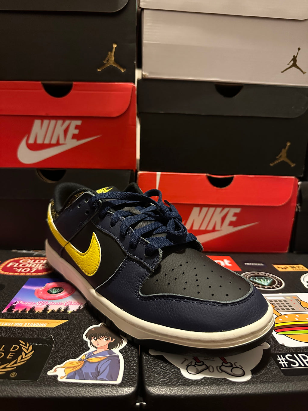 Nike dunk low vintage Michigan